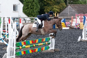 Class 6 - Fences not above 2'9